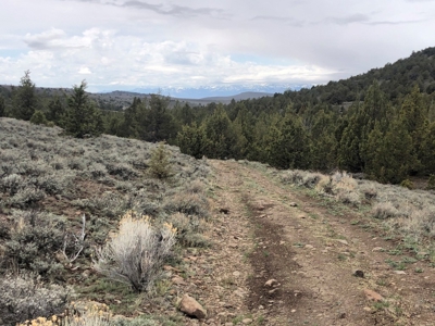 Nevada Recreational Hunting Cattle Horse Ranch For Sale - image 38