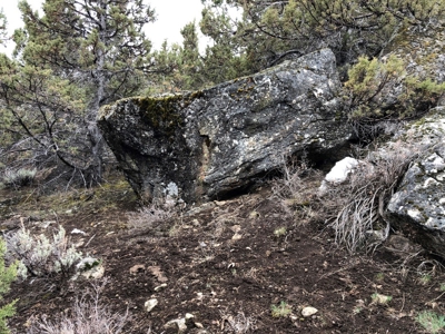 Nevada Recreational Hunting Cattle Horse Ranch For Sale - image 30
