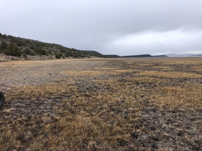 Nevada Recreational Hunting Cattle Horse Ranch For Sale - image 24