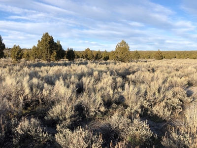Nevada Recreational Hunting Cattle Horse Ranch For Sale - image 12