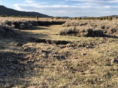 Nevada Recreational Hunting Cattle Horse Ranch For Sale - image 9