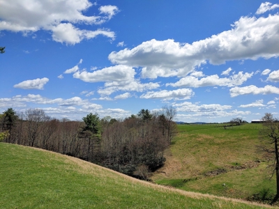 Gorgeous Farm Land for Sale in Willis VA! - image 29