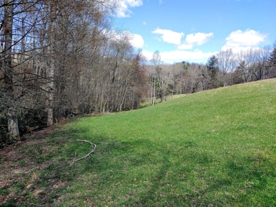 Gorgeous Farm Land for Sale in Willis VA! - image 23