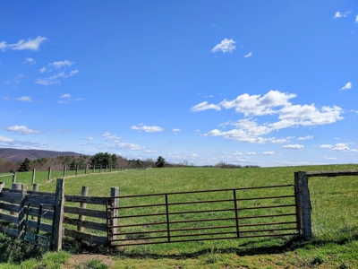 Gorgeous Farm Land for Sale in Willis VA! - image 18