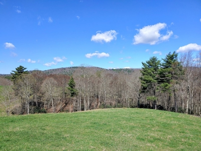 Gorgeous Farm Land for Sale in Willis VA! - image 21