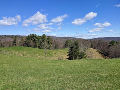 Gorgeous Farm Land for Sale in Willis VA! - image 17