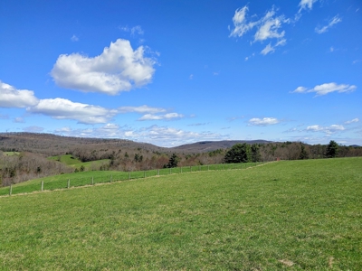 Gorgeous Farm Land for Sale in Willis VA! - image 19