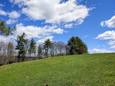 Gorgeous Farm Land for Sale in Willis VA! - image 27