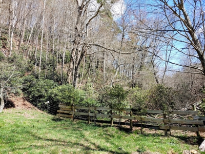 Gorgeous Farm Land for Sale in Willis VA! - image 16