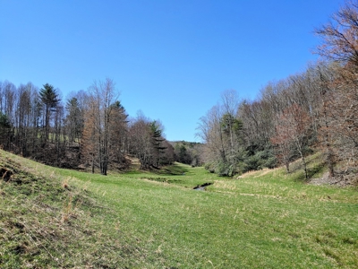 Gorgeous Farm Land for Sale in Willis VA! - image 25