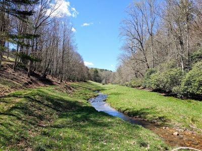 Gorgeous Farm Land for Sale in Willis VA! - image 1