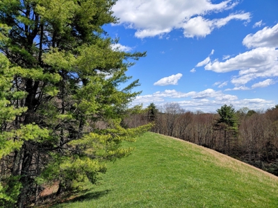 Gorgeous Farm Land for Sale in Willis VA! - image 30