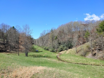 Gorgeous Farm Land for Sale in Willis VA! - image 4
