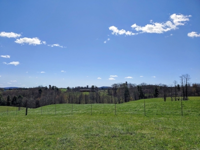 Gorgeous Farm Land for Sale in Willis VA! - image 11