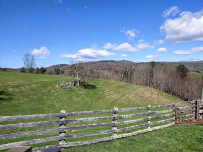 Gorgeous Farm Land for Sale in Willis VA! - image 7