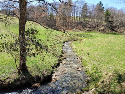 Gorgeous Farm Land for Sale in Willis VA! - image 15