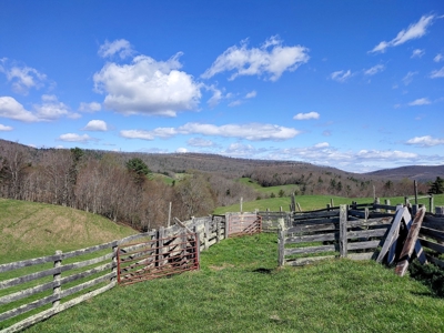 Gorgeous Farm Land for Sale in Willis VA! - image 5