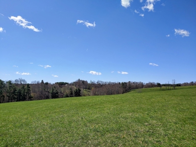 Gorgeous Farm Land for Sale in Willis VA! - image 20