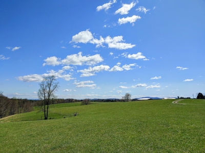 Gorgeous Farm Land for Sale in Willis VA! - image 6