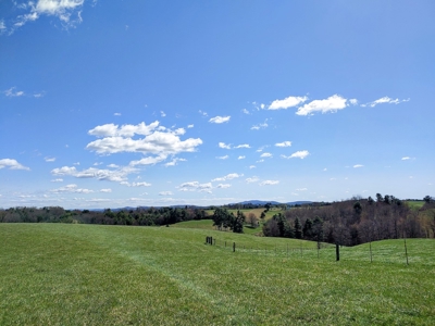 Gorgeous Farm Land for Sale in Willis VA! - image 12