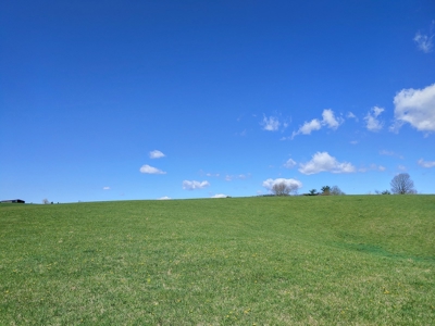 Gorgeous Farm Land for Sale in Willis VA! - image 13
