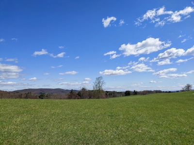 Gorgeous Farm Land for Sale in Willis VA! - image 14