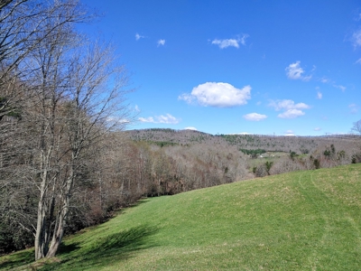 Gorgeous Farm Land for Sale in Willis VA! - image 22