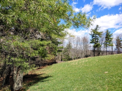 Gorgeous Farm Land for Sale in Willis VA! - image 28