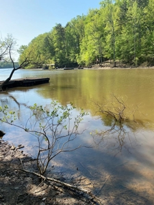 Waterfront Lot On Kerr Lake, VA - image 5
