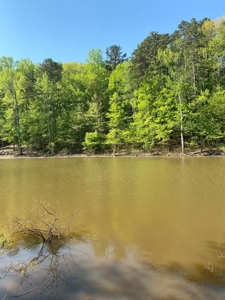Waterfront Lot On Kerr Lake, VA - image 4