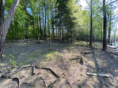 Waterfront Lot On Kerr Lake, VA - image 14