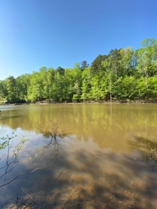 Waterfront Lot On Kerr Lake, VA - image 1
