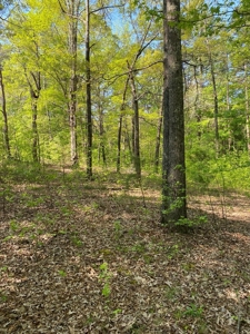 Waterfront Lot On Kerr Lake, VA - image 19