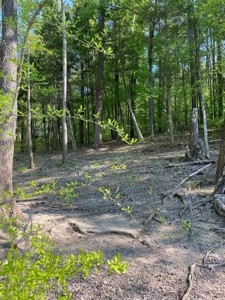 Waterfront Lot On Kerr Lake, VA - image 7