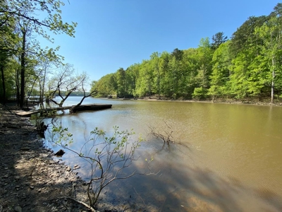 Waterfront Lot On Kerr Lake, VA - image 12
