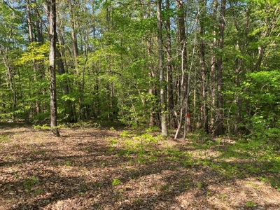 Waterfront Lot On Kerr Lake, VA - image 15