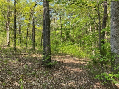 Waterfront Lot On Kerr Lake, VA - image 17
