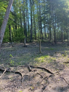 Waterfront Lot On Kerr Lake, VA - image 6