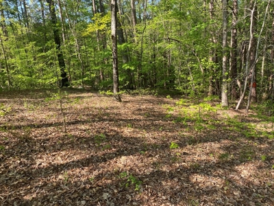 Waterfront Lot On Kerr Lake, VA - image 16