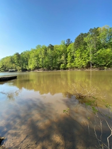 Waterfront Lot On Kerr Lake, VA - image 10