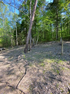 Waterfront Lot On Kerr Lake, VA - image 9