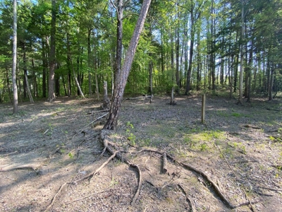 Waterfront Lot On Kerr Lake, VA - image 13