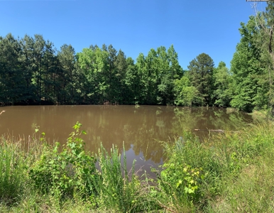 Gregg Co East TX Timber & Hunting Land for Sale near Kilgore - image 14