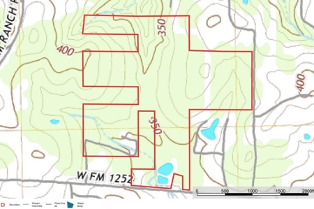 Gregg Co East TX Timber & Hunting Land for Sale near Kilgore - image 2