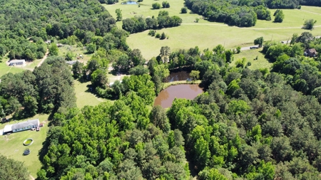 Gregg Co East TX Timber & Hunting Land for Sale near Kilgore - image 5