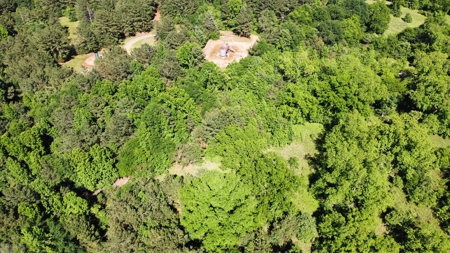 Gregg Co East TX Timber & Hunting Land for Sale near Kilgore - image 6
