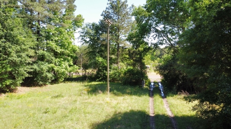 Gregg Co East TX Timber & Hunting Land for Sale near Kilgore - image 12