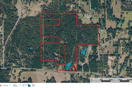 Gregg Co East TX Timber & Hunting Land for Sale near Kilgore - image 4