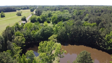 Gregg Co East TX Timber & Hunting Land for Sale near Kilgore - image 11