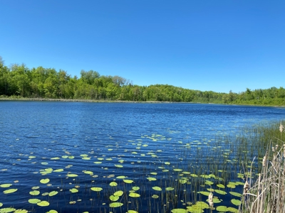 4 Acres For Sale Along Kettle River in Willow River MN - image 18